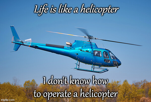 Life Is Like A Helicopter | Life is like a helicopter; I don't know how to operate a helicopter | image tagged in fun,life,adulting | made w/ Imgflip meme maker