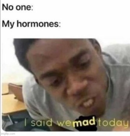WE MAD | image tagged in mad,i said we ____ today | made w/ Imgflip meme maker
