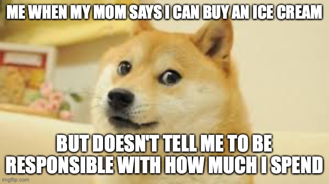 when my mom tells me I can get an ice-cream | ME WHEN MY MOM SAYS I CAN BUY AN ICE CREAM; BUT DOESN'T TELL ME TO BE RESPONSIBLE WITH HOW MUCH I SPEND | image tagged in doge,ice cream,not responible | made w/ Imgflip meme maker