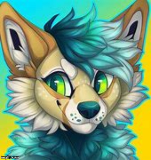 Not my art OωO | image tagged in furry art | made w/ Imgflip meme maker