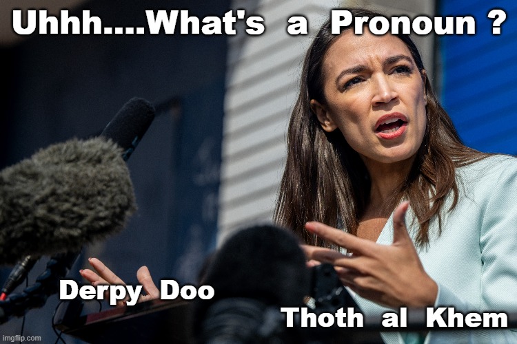 AOC IS STUPID | Uhhh....What's  a  Pronoun ? Derpy  Doo                                                            Thoth  al  Khem | image tagged in aoc,dumb,socialism | made w/ Imgflip meme maker