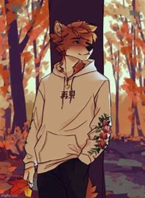 Not my art OωO | image tagged in furry art | made w/ Imgflip meme maker