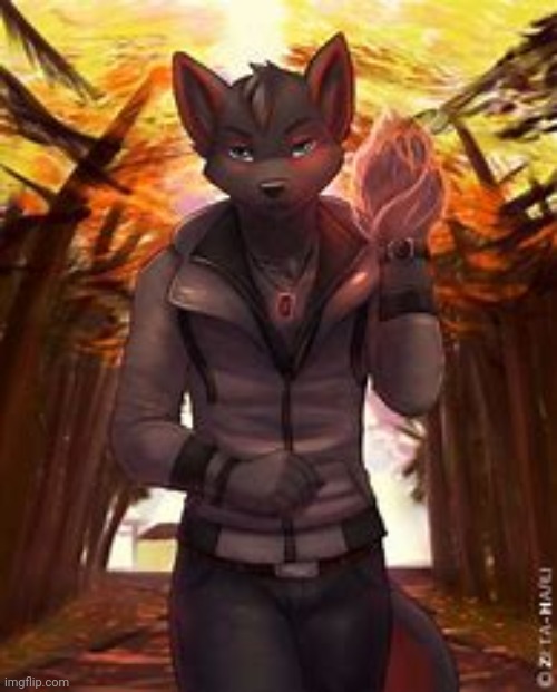 Not my art OωO | image tagged in furry art | made w/ Imgflip meme maker