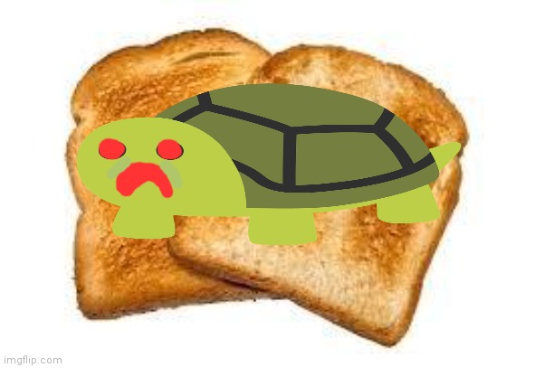 Scar's lunch... | image tagged in turtle,sandwich,nom nom nom | made w/ Imgflip meme maker