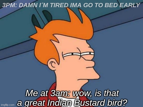 HAHAHHHAHAHAHAHA | 3PM: DAMN I´M TIRED IMA GO TO BED EARLY; Me at 3am: wow, is that a great Indian Bustard bird? | image tagged in memes,futurama fry | made w/ Imgflip meme maker