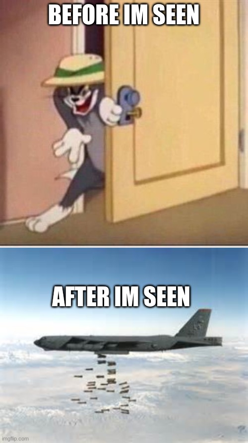 BEFORE IM SEEN AFTER IM SEEN | image tagged in sneaky tom,bomber b-52 | made w/ Imgflip meme maker