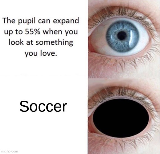 Did you know? | Soccer | image tagged in did you know | made w/ Imgflip meme maker