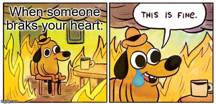 This Is Fine | When someone braks your heart: | image tagged in memes,this is fine | made w/ Imgflip meme maker