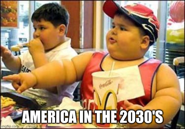 Fat kid walks into mcdonalds | AMERICA IN THE 2030'S | image tagged in fat kid walks into mcdonalds | made w/ Imgflip meme maker