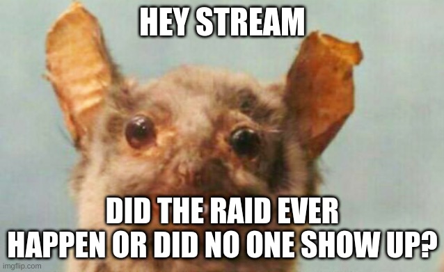 uh.. hey | HEY STREAM; DID THE RAID EVER HAPPEN OR DID NO ONE SHOW UP? | image tagged in bat,ugly | made w/ Imgflip meme maker