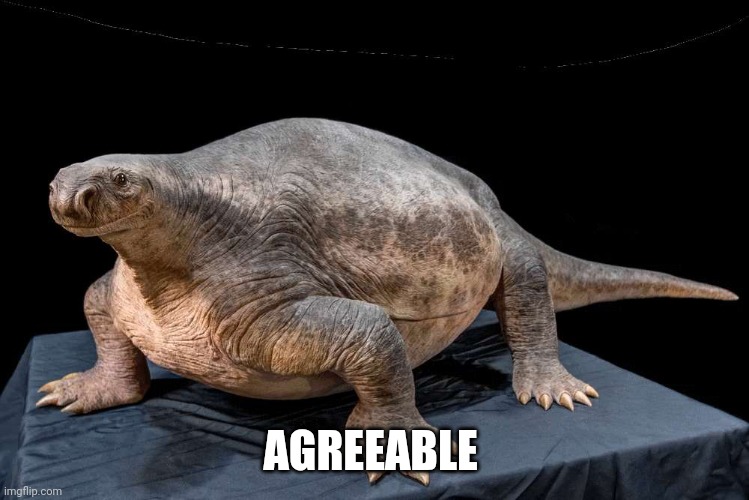 AGREEABLE | made w/ Imgflip meme maker