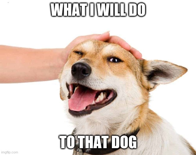 Petting a Dog | WHAT I WILL DO TO THAT DOG | image tagged in petting a dog | made w/ Imgflip meme maker