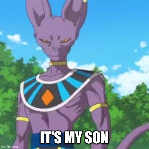 Lord Beerus | IT'S MY SON | image tagged in lord beerus | made w/ Imgflip meme maker