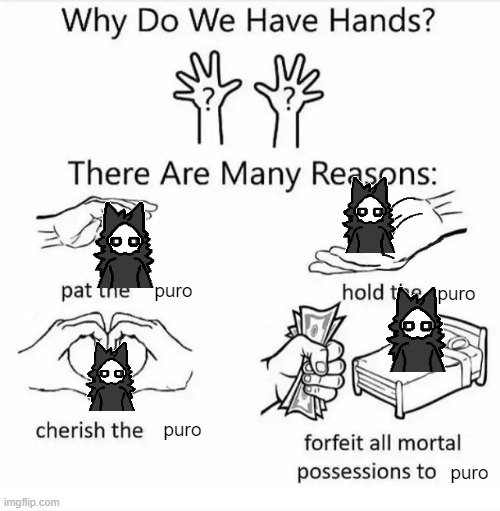 why we have hands | puro; puro; puro; puro | image tagged in why do we have hands all blank | made w/ Imgflip meme maker