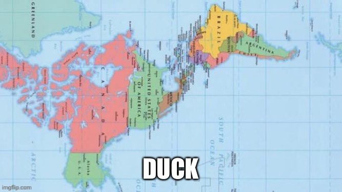 Duck | image tagged in duck | made w/ Imgflip meme maker