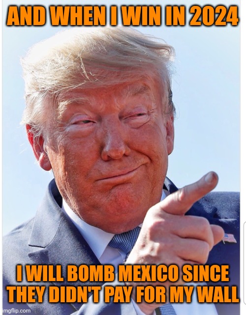 Big brain time | AND WHEN I WIN IN 2024; I WILL BOMB MEXICO SINCE THEY DIDN'T PAY FOR MY WALL | image tagged in trump pointing | made w/ Imgflip meme maker