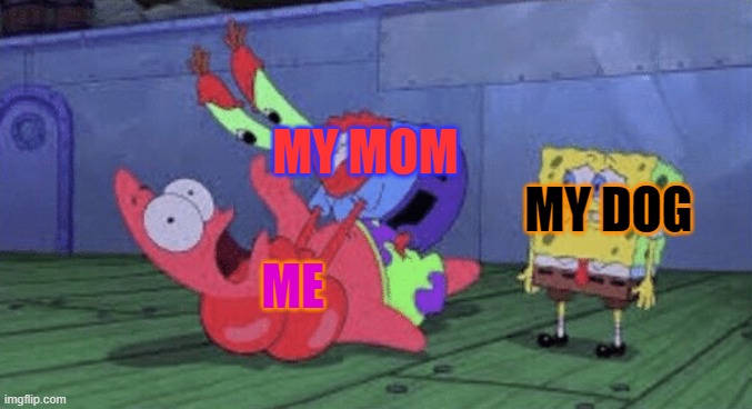 my mom mad | MY MOM; MY DOG; ME | image tagged in mr krabs choking patrick | made w/ Imgflip meme maker