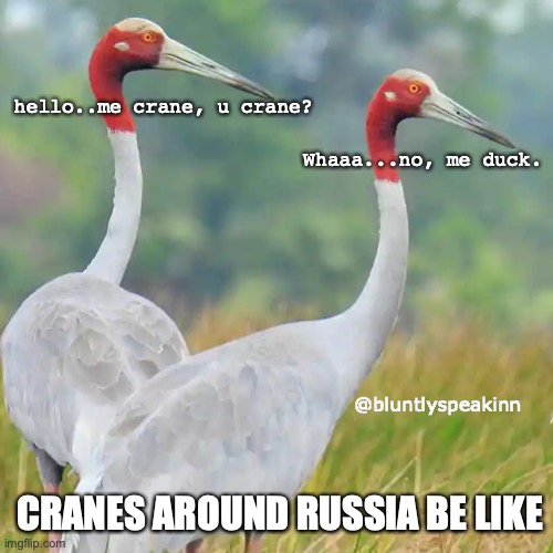 u crane? | hello..me crane, u crane? Whaaa...no, me duck. @bluntlyspeakinn; CRANES AROUND RUSSIA BE LIKE | image tagged in russia,ukraine | made w/ Imgflip meme maker