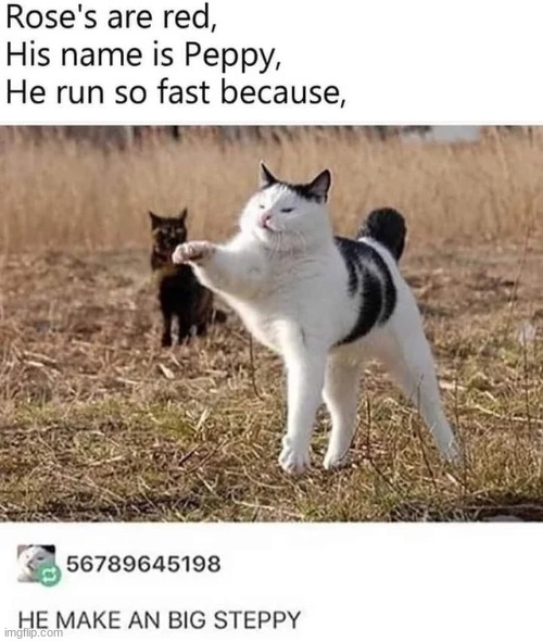 big steppy | image tagged in memes,funny,cute,animals | made w/ Imgflip meme maker