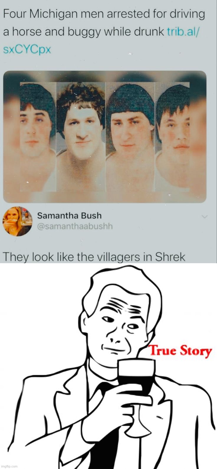 True story | image tagged in memes,true story,funny,wait what,oh wow,shrek | made w/ Imgflip meme maker