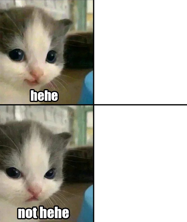 Cute cat hehe and not hehe Blank Meme Template