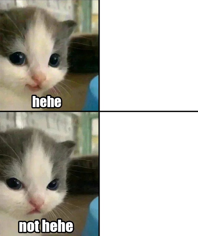 Cute Cat Meme Generator - Imgflip