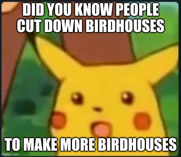 Surprised Pikachu | DID YOU KNOW PEOPLE CUT DOWN BIRDHOUSES; TO MAKE MORE BIRDHOUSES | image tagged in surprised pikachu | made w/ Imgflip meme maker