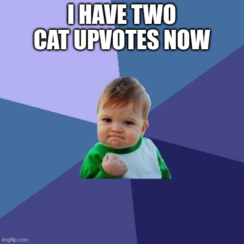 Success Kid Meme | I HAVE TWO CAT UPVOTES NOW | image tagged in memes,success kid | made w/ Imgflip meme maker