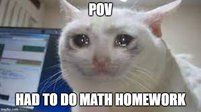 pov | POV; HAD TO DO MATH HOMEWORK | image tagged in yeet | made w/ Imgflip meme maker
