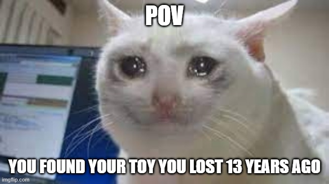pov | POV; YOU FOUND YOUR TOY YOU LOST 13 YEARS AGO | image tagged in yeet | made w/ Imgflip meme maker