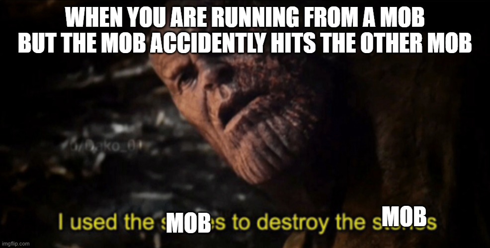 minecraft | WHEN YOU ARE RUNNING FROM A MOB BUT THE MOB ACCIDENTLY HITS THE OTHER MOB; MOB; MOB | image tagged in i used the stones to destroy the stones | made w/ Imgflip meme maker