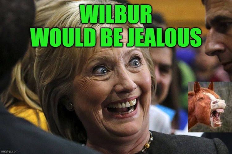 Wilbur (Mr. Ed) would be jealous of dem teeth!! | WILBUR WOULD BE JEALOUS | image tagged in hillary clinton,mr ed,wilbur the horse,crazy eyes,horse teeth,crazy liberals | made w/ Imgflip meme maker
