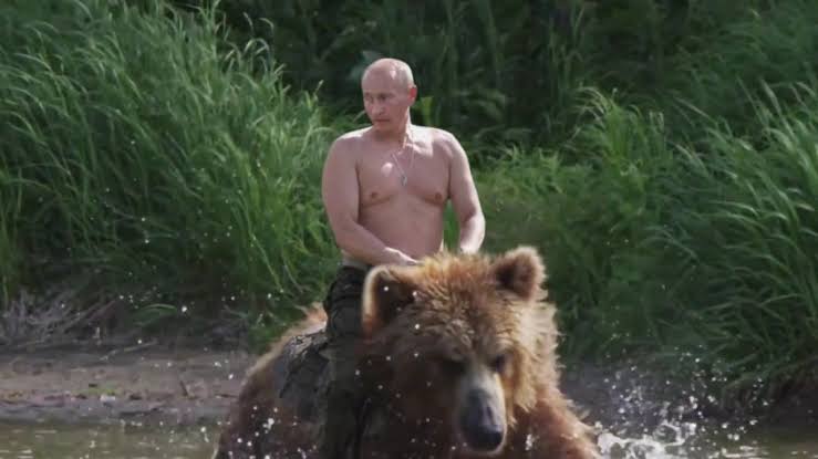 Putin bear Blank Meme Template