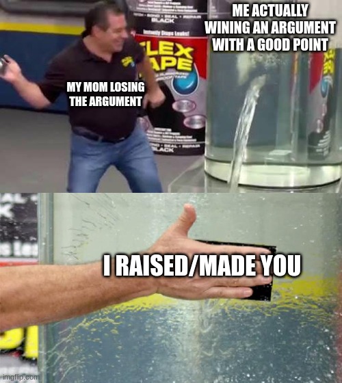 no matter what you say they win it anyway | ME ACTUALLY WINING AN ARGUMENT WITH A GOOD POINT; MY MOM LOSING THE ARGUMENT; I RAISED/MADE YOU | image tagged in flex tape | made w/ Imgflip meme maker