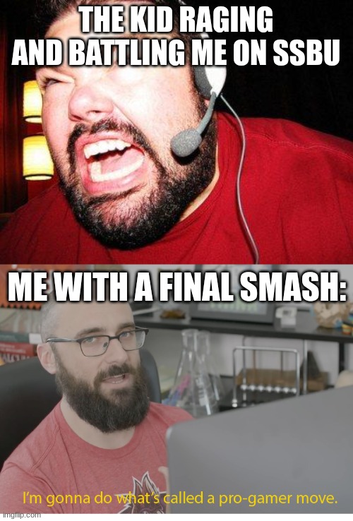 THE KID RAGING AND BATTLING ME ON SSBU; ME WITH A FINAL SMASH: | image tagged in nerd rage,i'm gonna do what's called a pro-gamer move | made w/ Imgflip meme maker