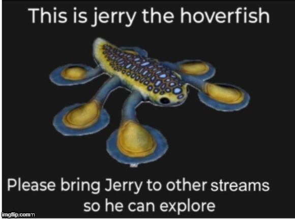 JERRY | image tagged in jerry,hoverboard,fish | made w/ Imgflip meme maker