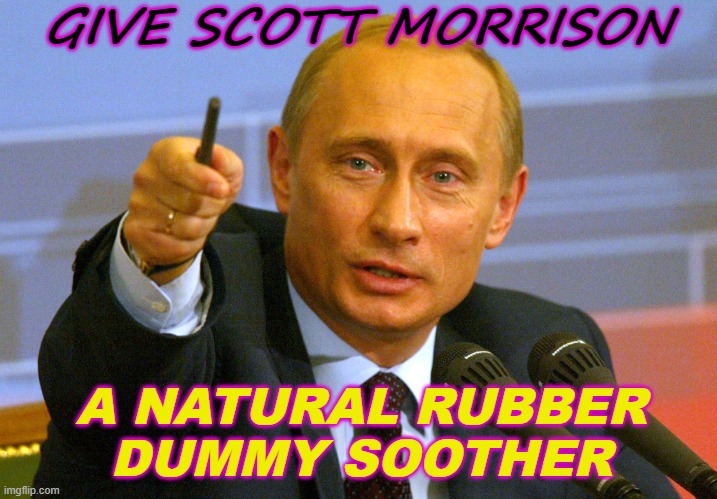 Give Scott Morrison a natural rubber dummy soother | GIVE SCOTT MORRISON; A NATURAL RUBBER
DUMMY SOOTHER | image tagged in poutine | made w/ Imgflip meme maker