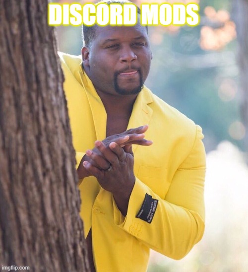 Black guy hiding behind tree | DISCORD MODS | image tagged in black guy hiding behind tree | made w/ Imgflip meme maker