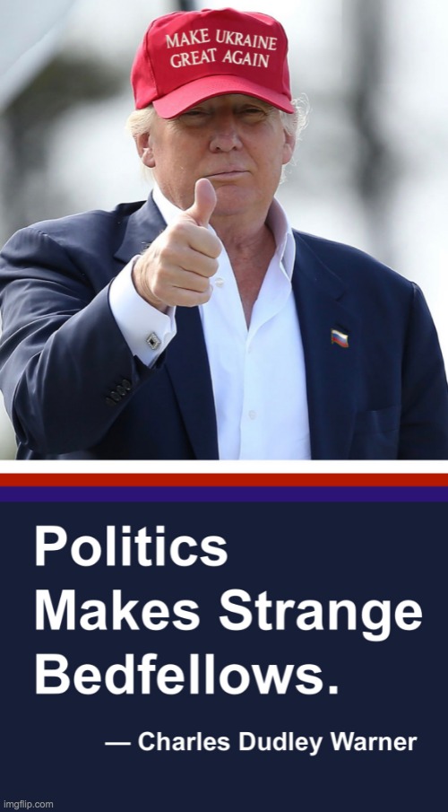 POLITICS MAKES STRANGE BEDFELLOWS TRUMP | image tagged in politics makes strange bedfellows trump | made w/ Imgflip meme maker