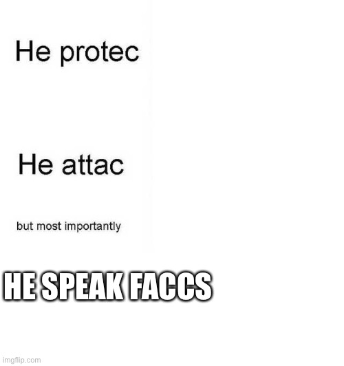 He protec he attac but most importantly | HE SPEAK FACCS | image tagged in he protec he attac but most importantly | made w/ Imgflip meme maker