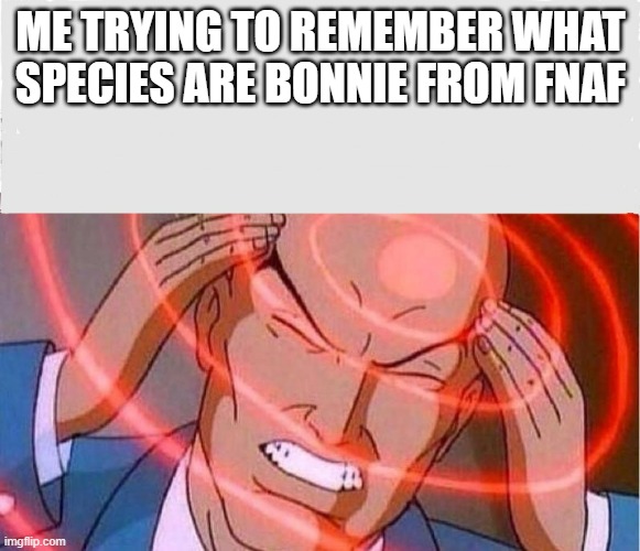 Me trying to remember | ME TRYING TO REMEMBER WHAT SPECIES ARE BONNIE FROM FNAF | image tagged in me trying to remember | made w/ Imgflip meme maker