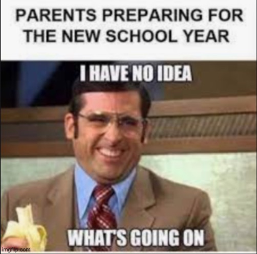 School | image tagged in memes | made w/ Imgflip meme maker