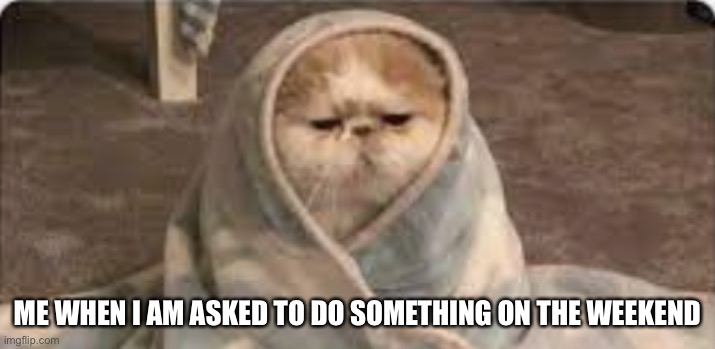 ME WHEN I AM ASKED TO DO SOMETHING ON THE WEEKEND | image tagged in memes | made w/ Imgflip meme maker