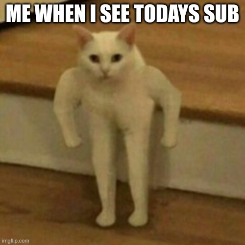 *Hell ensues* | ME WHEN I SEE TODAYS SUB | image tagged in buff cat | made w/ Imgflip meme maker