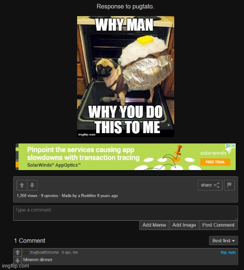 image tagged in wtf am i looking at | made w/ Imgflip meme maker