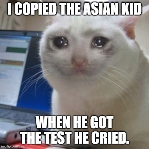 Crying cat | I COPIED THE ASIAN KID; WHEN HE GOT THE TEST HE CRIED. | image tagged in crying cat | made w/ Imgflip meme maker