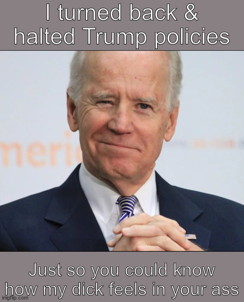 Joes Reaming | I turned back & halted Trump policies; Just so you could know how my dick feels in your ass | image tagged in joe biden wink | made w/ Imgflip meme maker