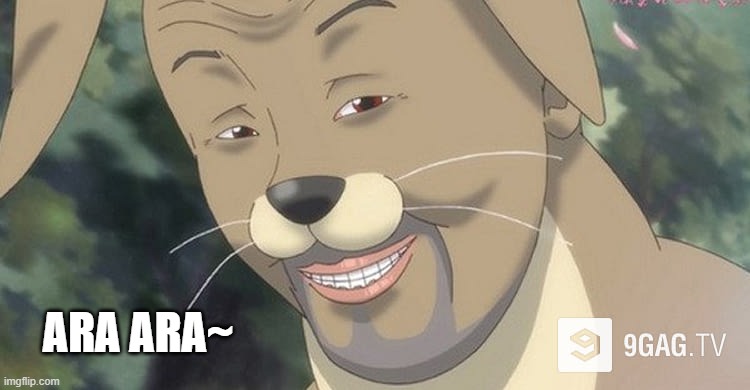 Weird anime hentai furry | ARA ARA~ | image tagged in weird anime hentai furry | made w/ Imgflip meme maker