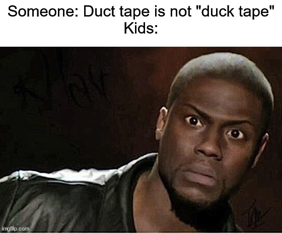 Kevin Hart | Someone: Duct tape is not "duck tape"
Kids: | image tagged in memes,kevin hart | made w/ Imgflip meme maker
