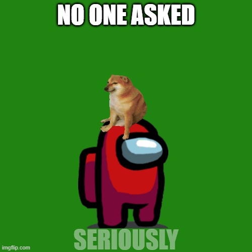 Blank Transparent Square Meme | NO ONE ASKED; SERIOUSLY | image tagged in memes,blank transparent square | made w/ Imgflip meme maker